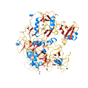 Follistatin 344 – API Grade (COA Verified)