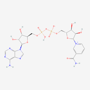 NAD+ – API Grade (COA Verified)