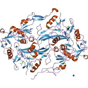 Follistatin 315 – API Grade (COA Verified)